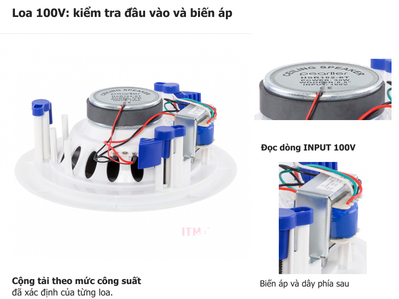 Ảnh thật mặt sau loa 100V với ô phóng lớn nhãn INPUT 100V và biến áp cùng dây nối