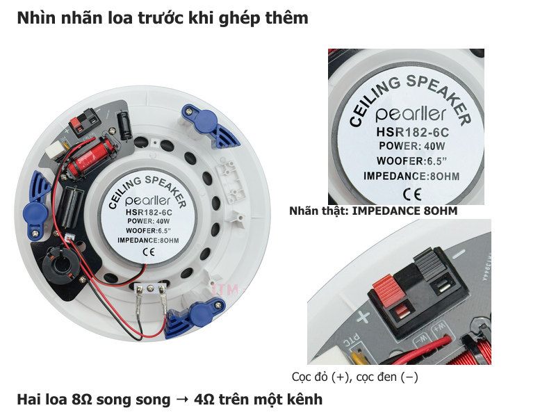 Mặt sau loa Pearller HSR182-6C với ảnh phóng lớn nhãn trở kháng 8 ohm và cọc đấu đỏ đen