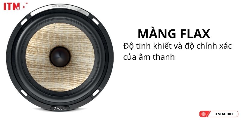 loa focal audio