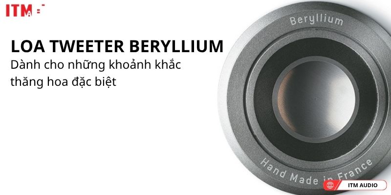 loa focal audio