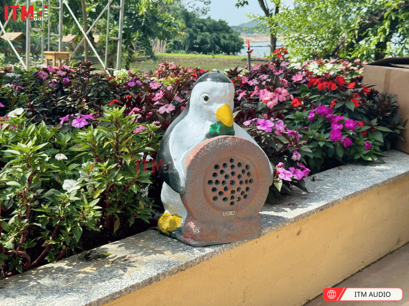 loa san vuon pearller