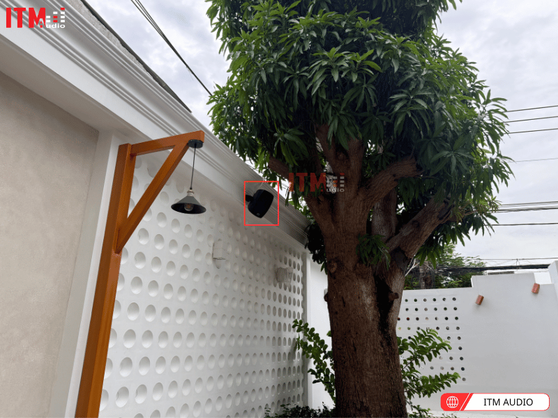 loa treo tương pearller