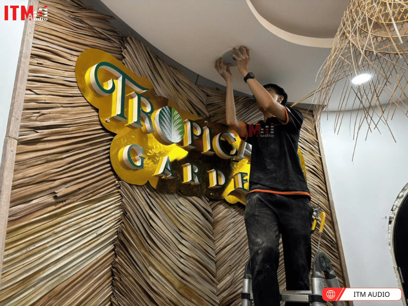 hanh trinh cua pearller 2