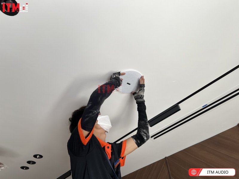 thuong hieu pearller