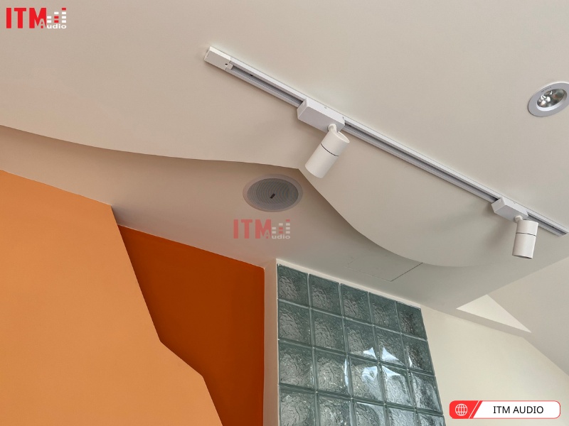 loa am tran pearller