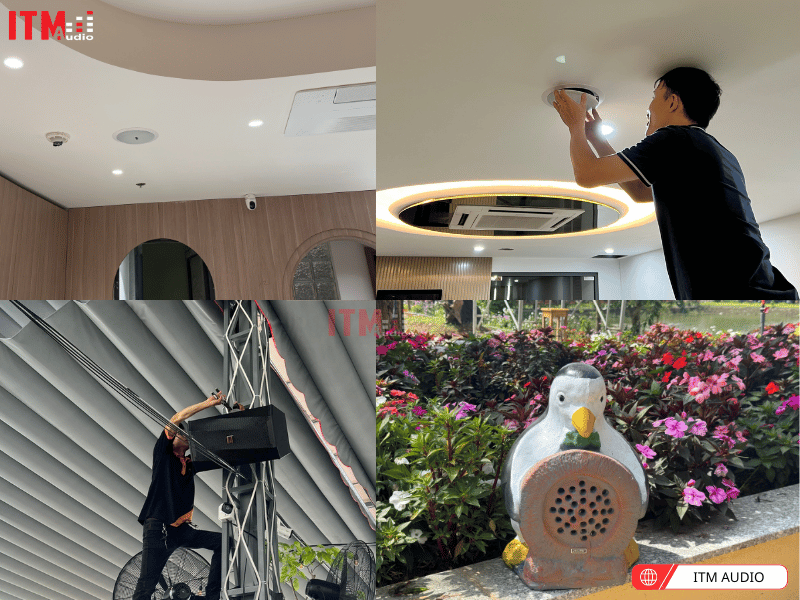 loa pearller audio 1