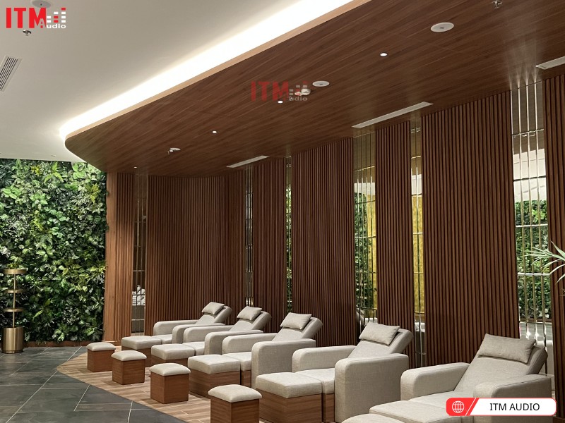 pearller trong tuong lai 1