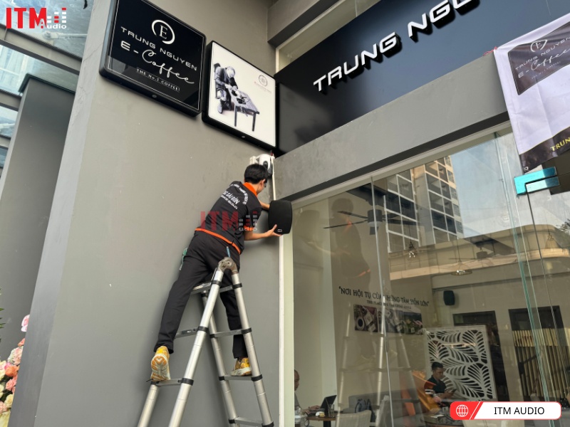 thuong hieu pearller 3