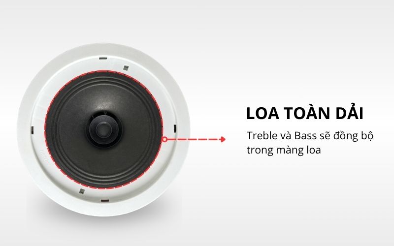 tim hieu su khac biet giua loa am tran dong truc va loa toan dai (3)