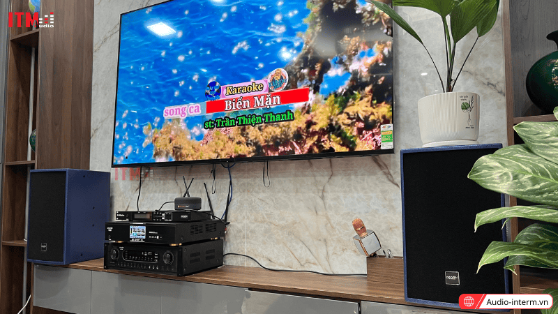 amply karaoke gia đình (4)