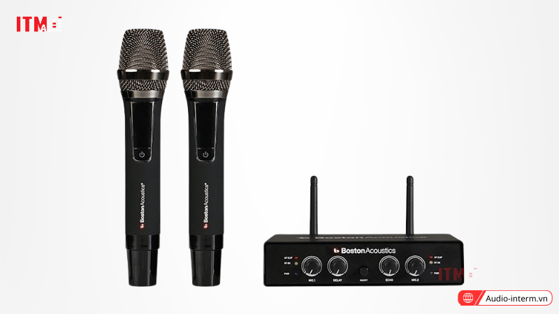 micro không dây WMS210