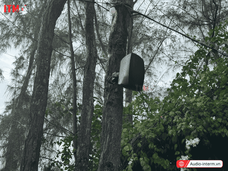 loa quán cafe sân vườn (14)