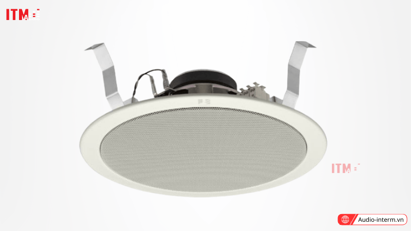 loa âm trần 10w (3)