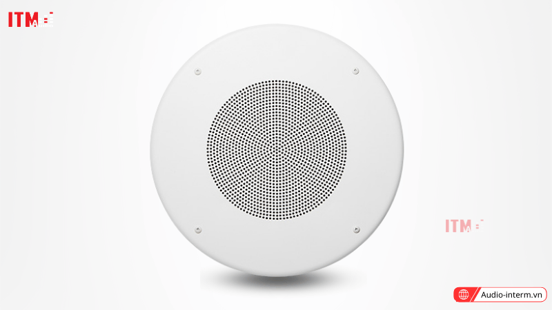 loa âm trần 10w (4)