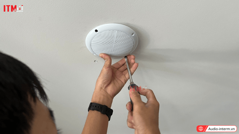 loa âm trần 10w (2)