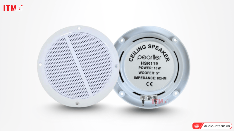loa âm trần 10w (3)