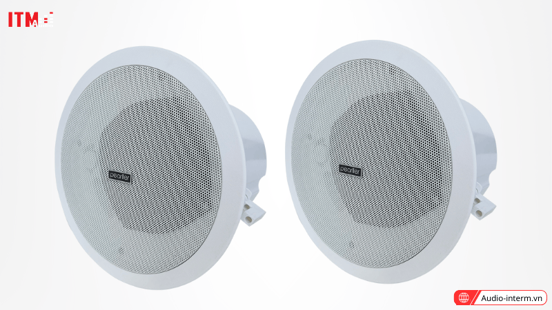 loa âm trần 20w (3)
