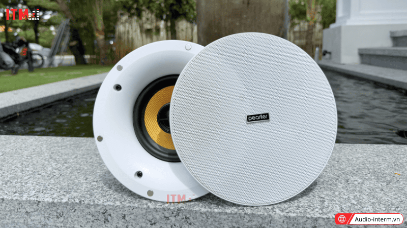 loa âm trần 30w (5)