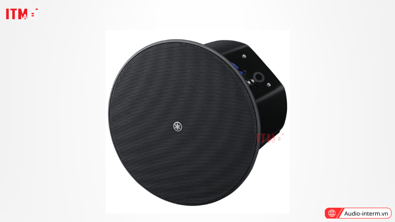 loa âm trần công suất lớn (5)