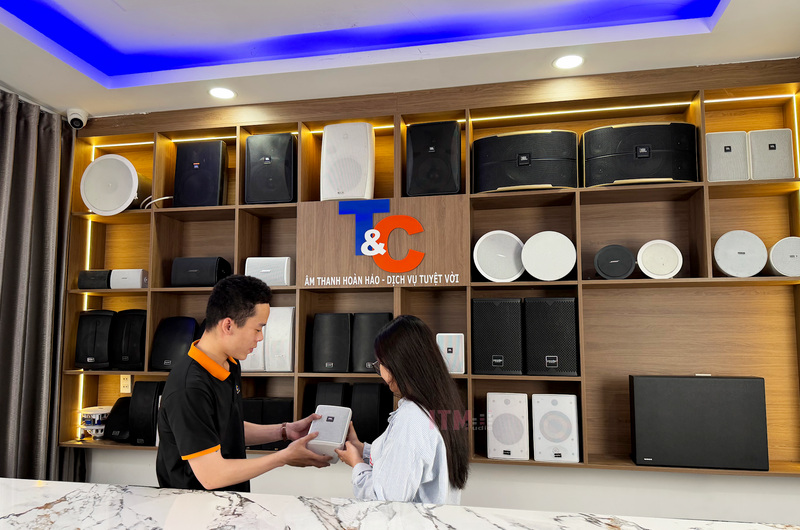 Trao đổi nhu cầu sử dụng giúp lựa chọn kiểu loa và cách lắp phù hợp với nội thất.